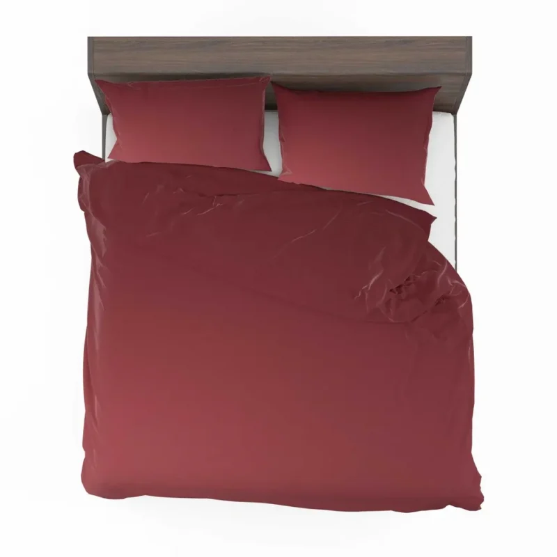 Vintage Maroon Color Bedding Set 2